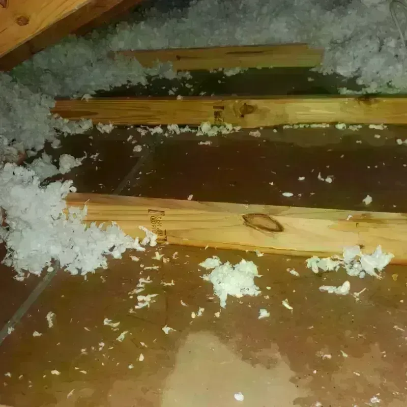 Attic Water Damage in Floris, VA